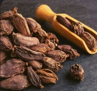 Large Cardamom